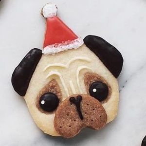 Meet your Posher, Holly